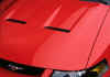 MustangSVTCobra_hood.jpg (42157 bytes)
