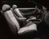 MustangSVTCobra_interior.jpg (51820 bytes)