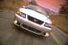 MustangSVTCobra_speedingF.jpg (62617 bytes)